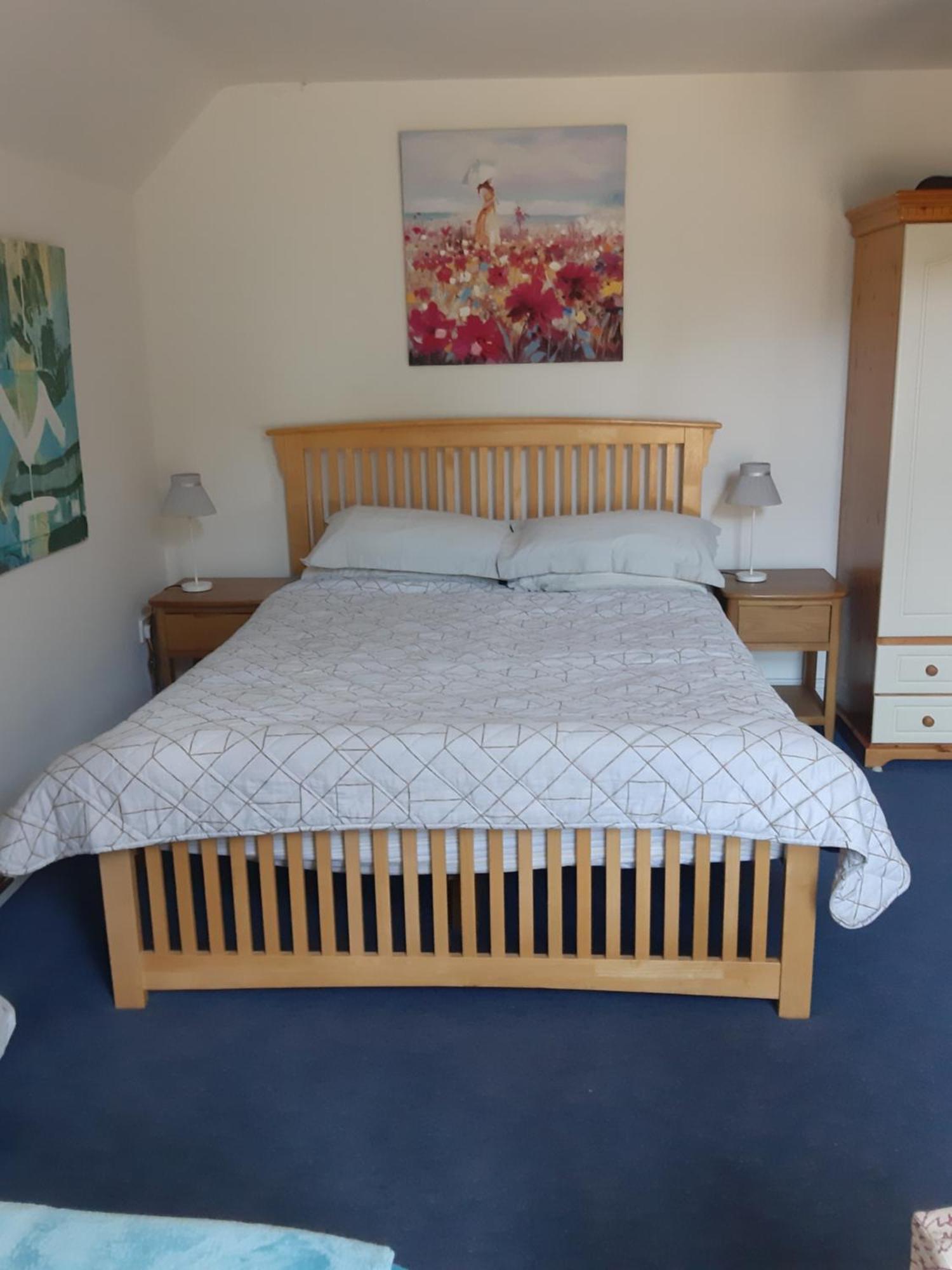 Bed and Breakfast Kyleard Ryan Monasterevin Екстер'єр фото